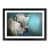 Black Framed selected