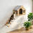 Cat Wall Climbing Stairs with House