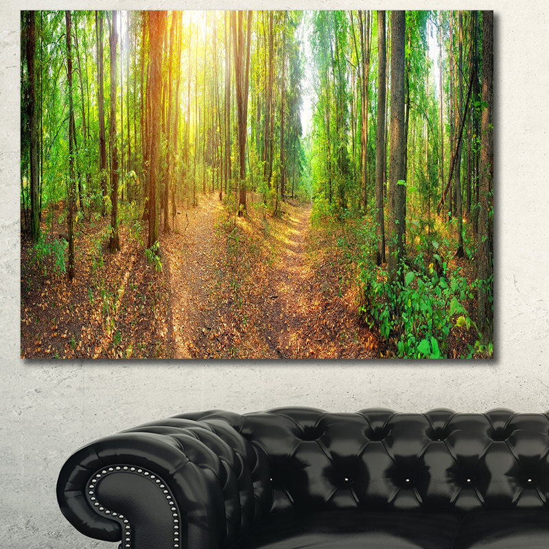 « dense forest panorama », reproduction de photo sur toile tendue, H 30 po x l 40 po x P 1 po