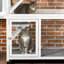 Maison d'extérieur pour chat avec plusieurs caractéristiques pour le confort et le divertissement félins