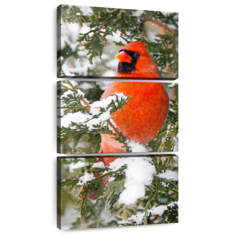 Cardinal en hiver, H 75 po x l 36 po