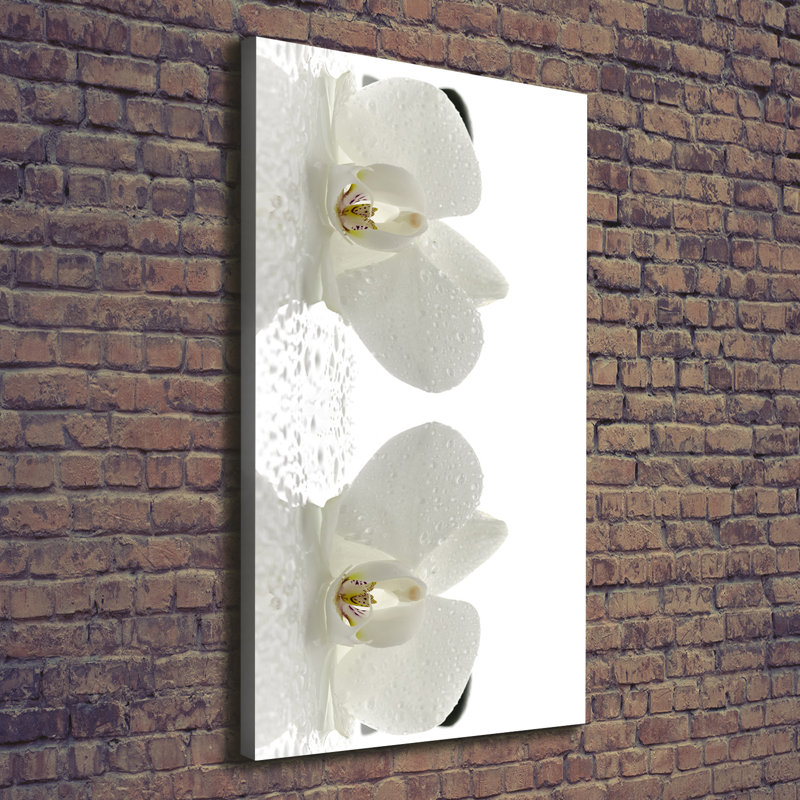 Orchid And Stones - Wrapped Canvas Print