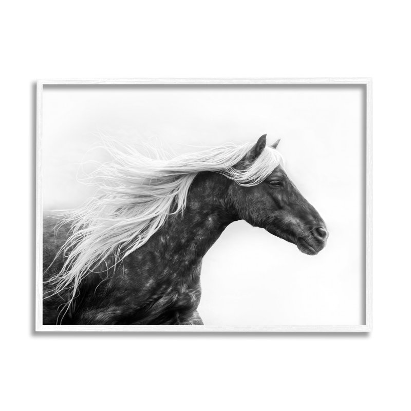 Cheval avec crinière blanche, estampe numérique encadrée par PHBurchett, Estampe numérique encadrée blanc bord de mer