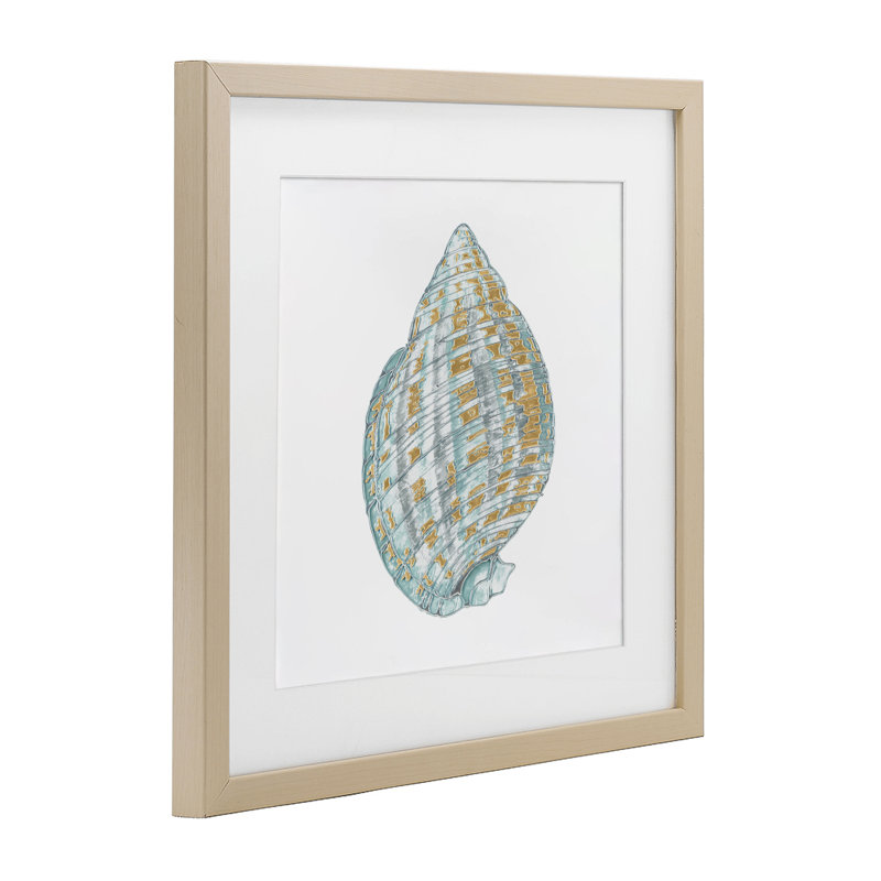 Coquilles de Regal, reproduction sous verre encadrée, conception par Lorenzo Collective, H 13 po x l 13 po