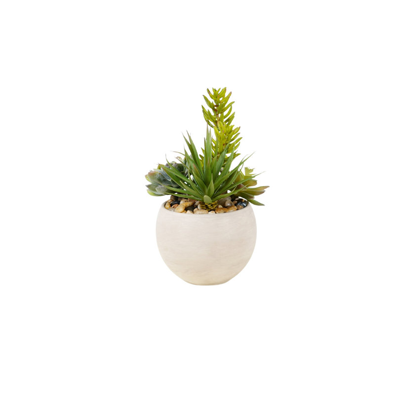 Succulent Arrangement in Granite Ceramic Sphere