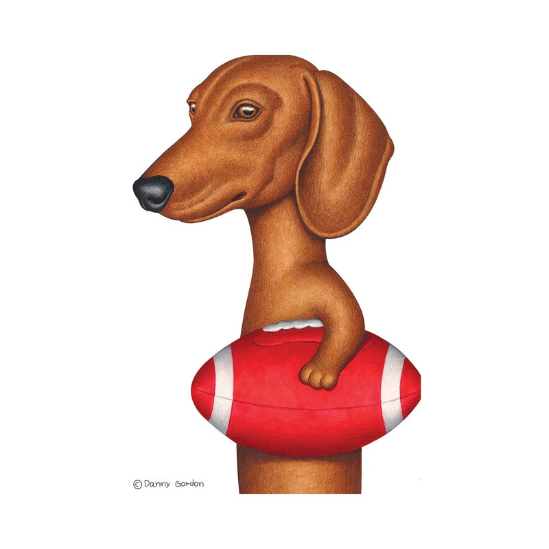 Dachshund Holding Football by Danny Gordon - Print on Canvas, Wrapped Canvas, 66.04 cm H x 45.72 cm W x 3.175 cm D
