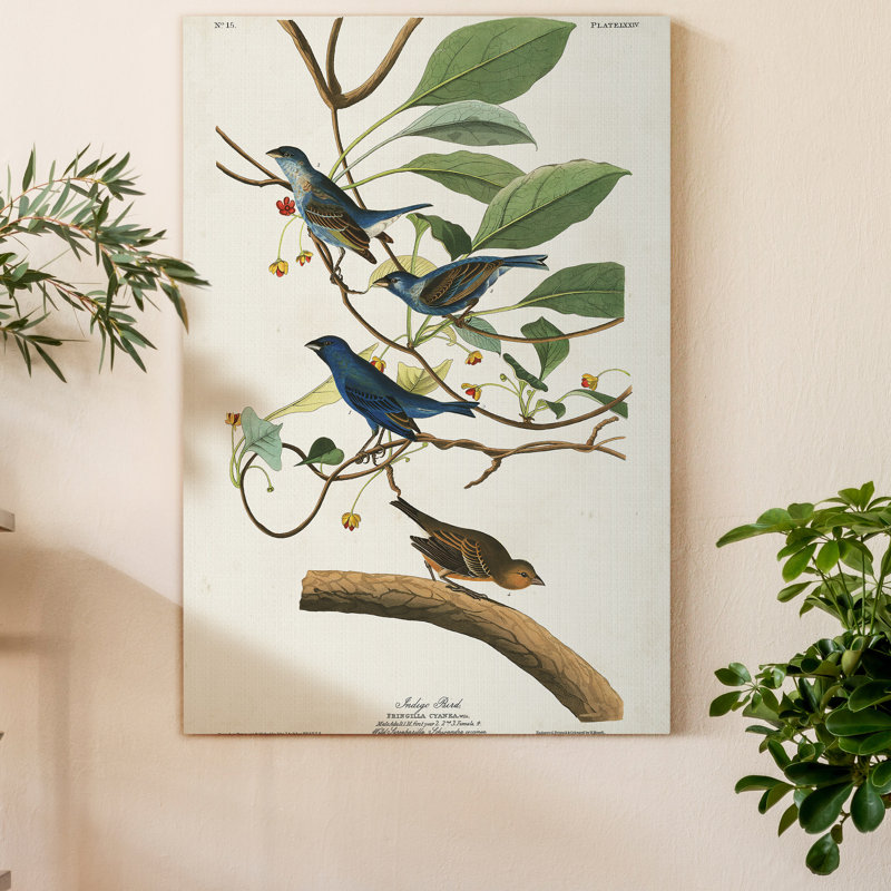 "Pl 74 Indigo Bird", reproduction d’art sur toile, H 20 po x l 16 po x P 1 po