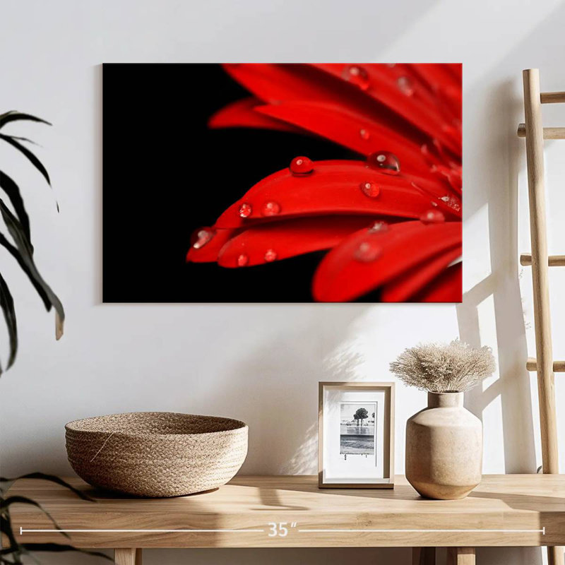 Harnek Dewy Daisy, 24" H x 36" W
