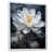 White Floater Framed