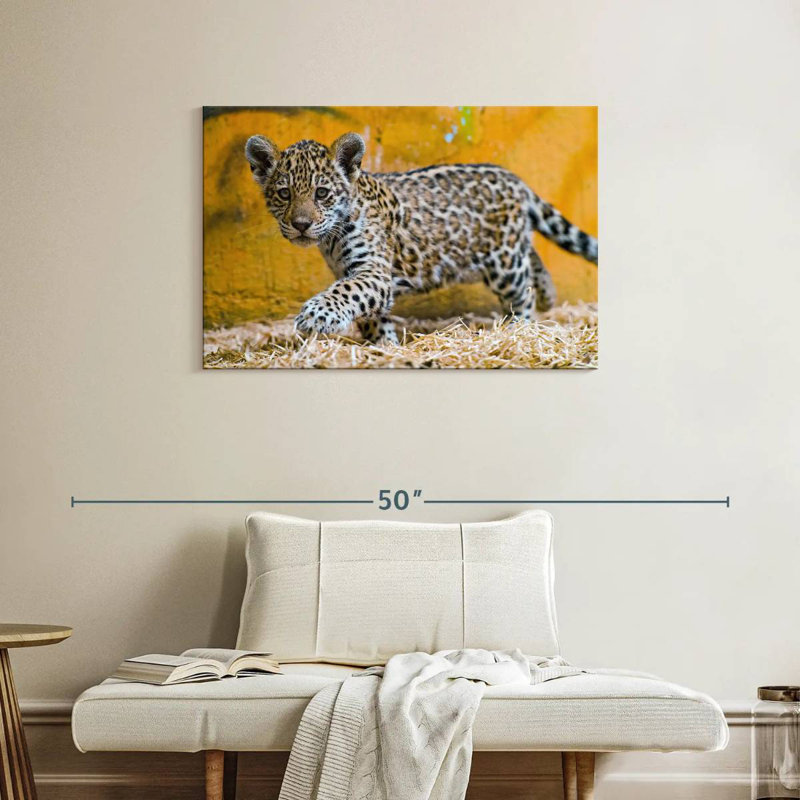 Brampt Jaguar Cub, 24" H x 36" W