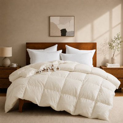 Insert de couette toutes saisons en duvet d'oie blanc avec housse de couette 100% coton 300TC, très grand californien