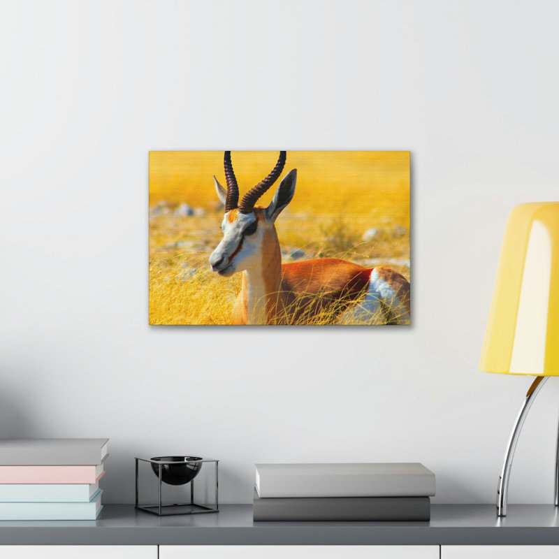 No Frame Print on Canvas, 12cm H x 18cm W