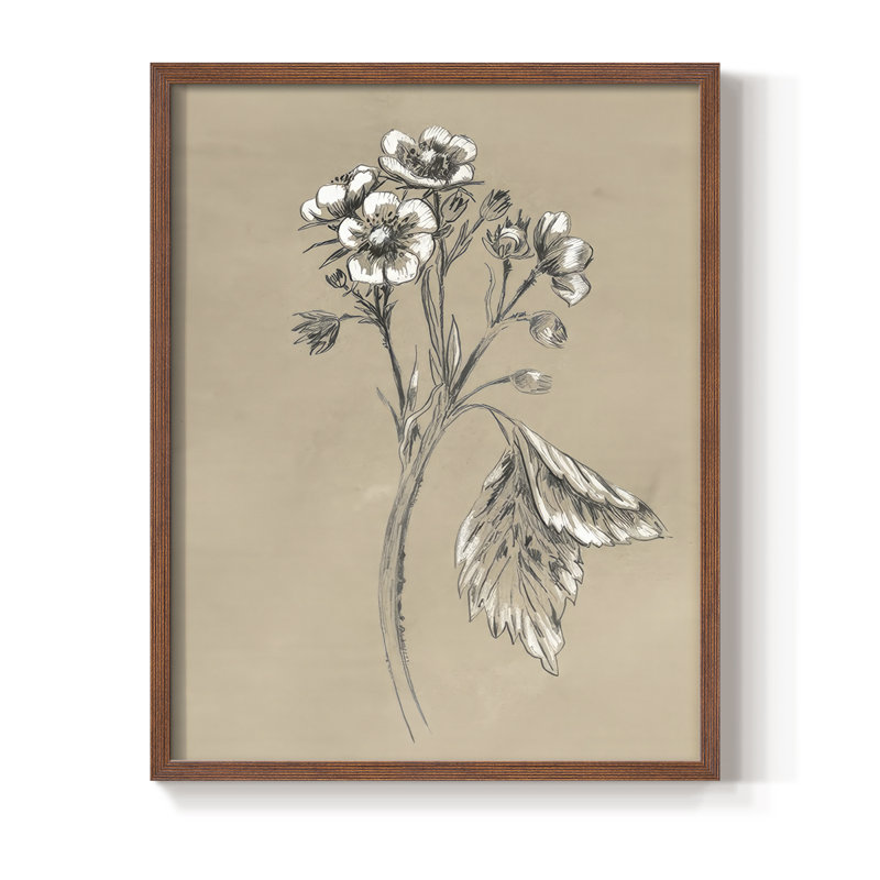 Reproduction encadrée rétro en botanique II, H 15 po x l 12 po, Noyer