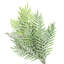 Plante de palmier artificielle 13 po