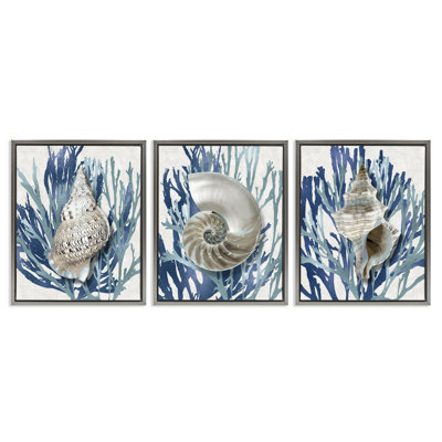 Trio de coquillages et corail, ensemble de 3 toiles flottantes encadrées par Caroline Kelly