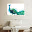 Proud Peacock Splash-990378522