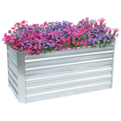 Rondrick Galvanized Steel Outdoor Raised Garden Bed - Silver - 4' W x 2' D x 2' H