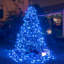 120 guirlandes de lumières-789017982