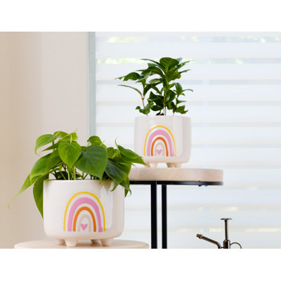 Bentlie Ceramic Pot Planter