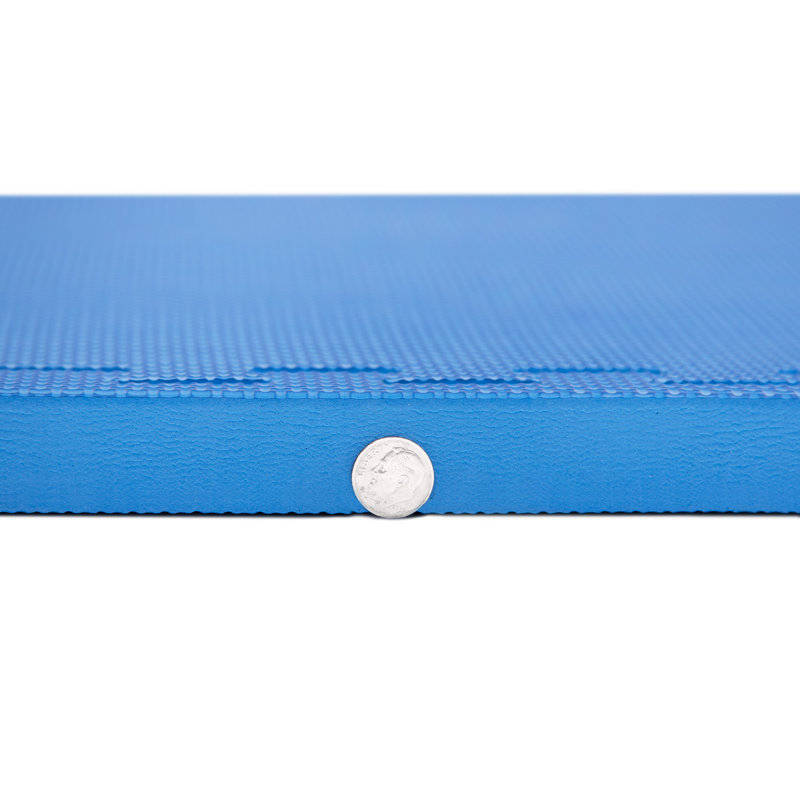 Multipurpose 24" L x 24" W x 1" Foam Tile, Blue