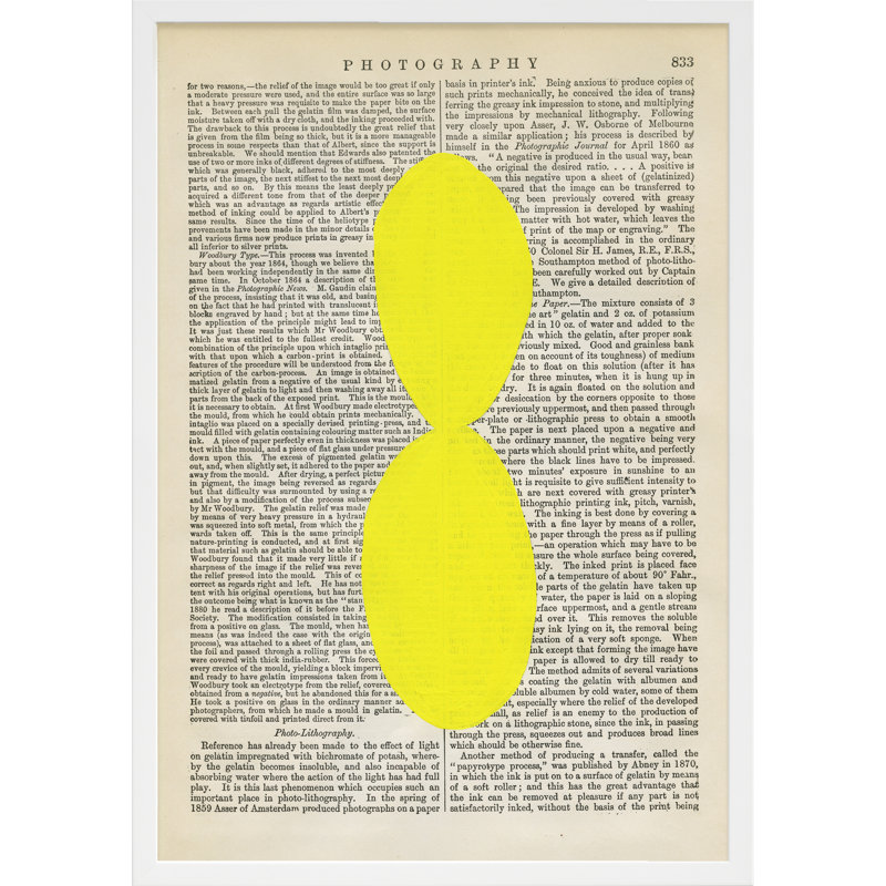 Photographie Pitt par - Michela Sorrentino, H 30 po x l 21 po x P 1,25 po, Cadre blanc