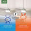 Ventilateur de plafond à 6 pales de 44 po avec lumières et télécommande Pacer-57282078
