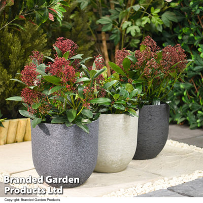 Caplinger Plant Pot Triple Pack