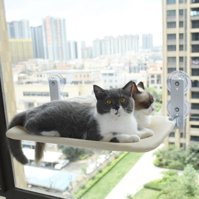 Foldable Cat Window Perch Hammock For Indoor Cats Inside