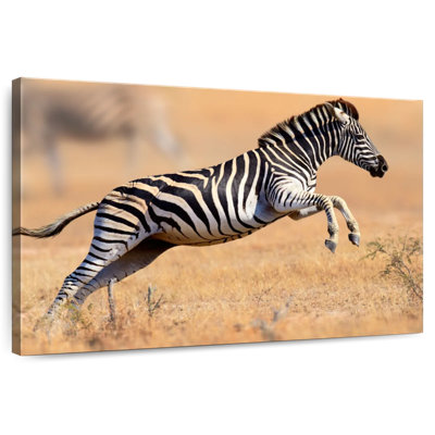 Brampt Jumping Zebra