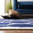 Emek Hand Woven Flat Weave Wool/Cotton Geometric Rug in Blue-1073129516