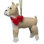 Arcadia Home Boxer Hand-Knit Ornament