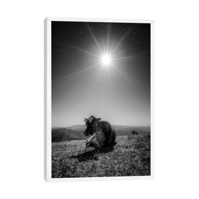 Cow II by Glauco Meneghelli - Print on Canvas