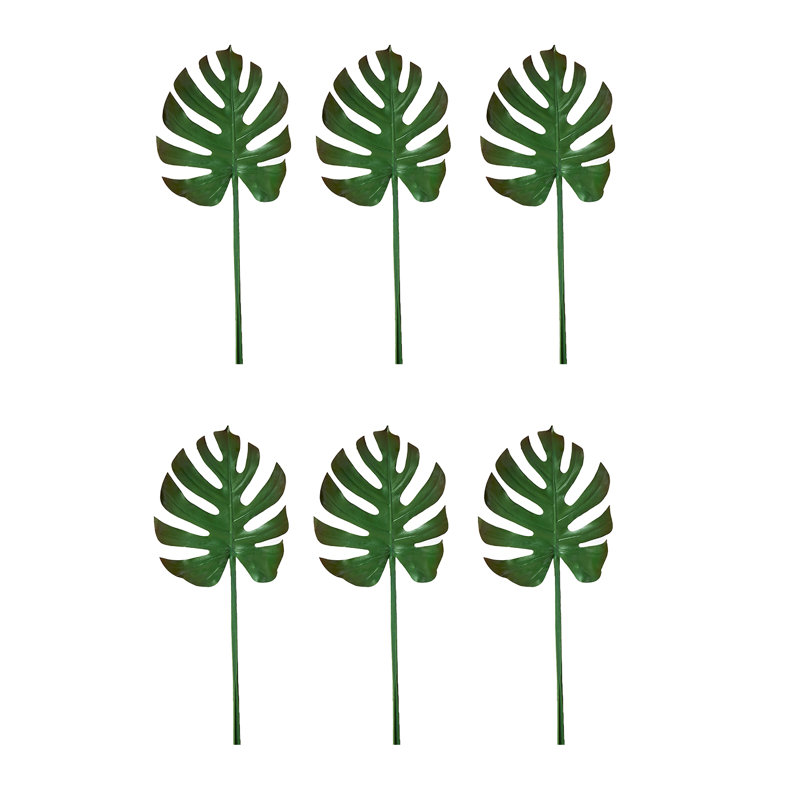 Arrangement Monstera
