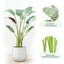 Ankitha Faux Bird of Paradise Plant-318016949