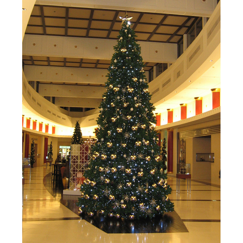 240' Lighted Fir Christmas Tree