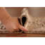 Tapis oriental tribal en laine Anatolian