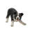 Border Collie Garden Statue