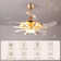 Karneshia Ceiling Fan with LED Lights