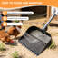 Poulet caca Scooper & Rake 2-en-1, pelle à sable avec longueur réglable, réglage multi-ange