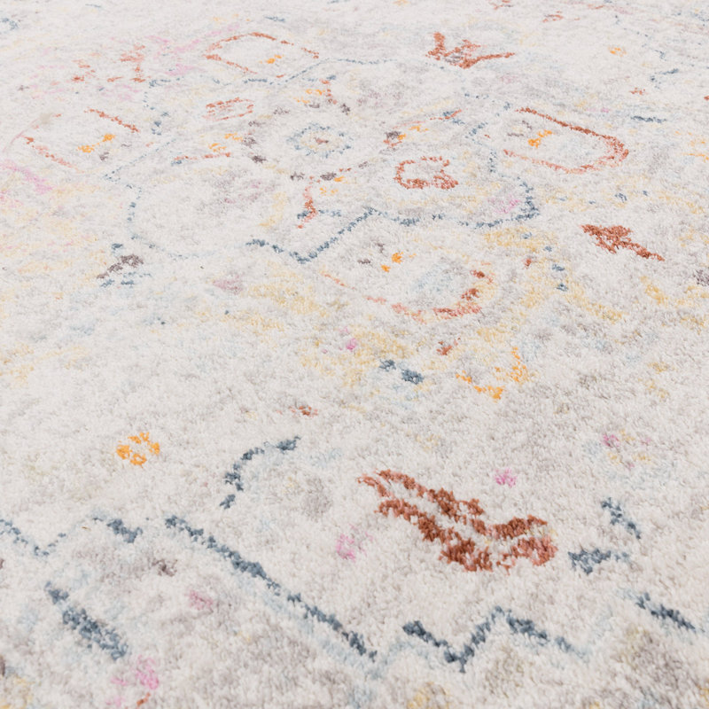 Massey Oriental Area Rug, Rectangle 120 x 170 cm