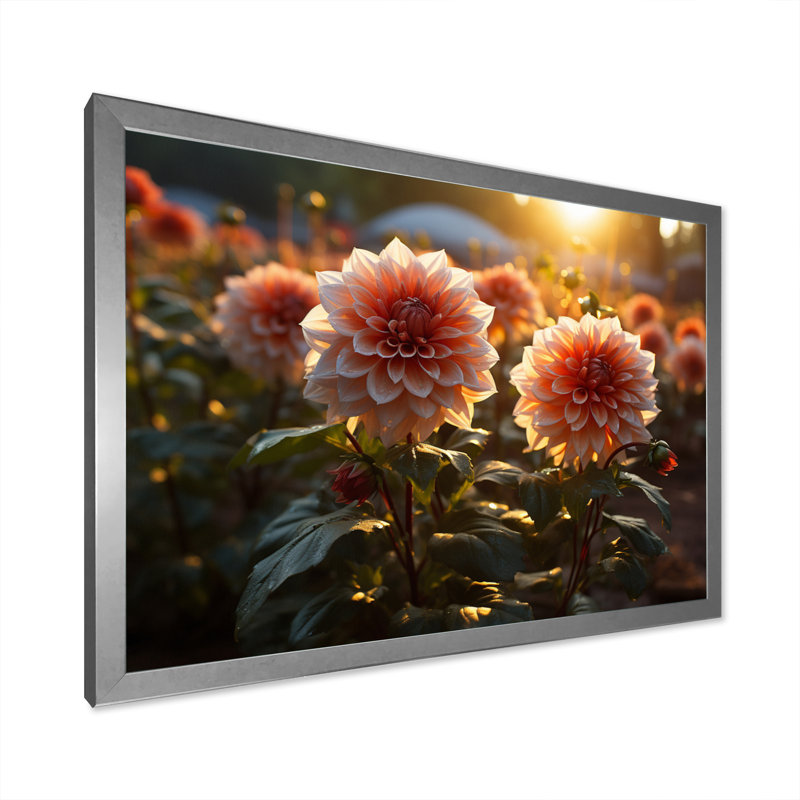 «Poinsettias Field Sunset», reproduction sur toile, H 12 po x l 20 po x P 1 po, Cadre simple gris
