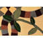 Tapis beige moderne à motif floral 5X8