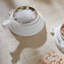 Eden Salt & Pepper Cellars