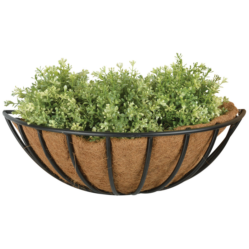 Vicksburg Wall Planter