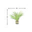 Floor Palm Plant in Rope Embellished Glass Pot