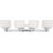 4 - Light Dimmable Vanity Light