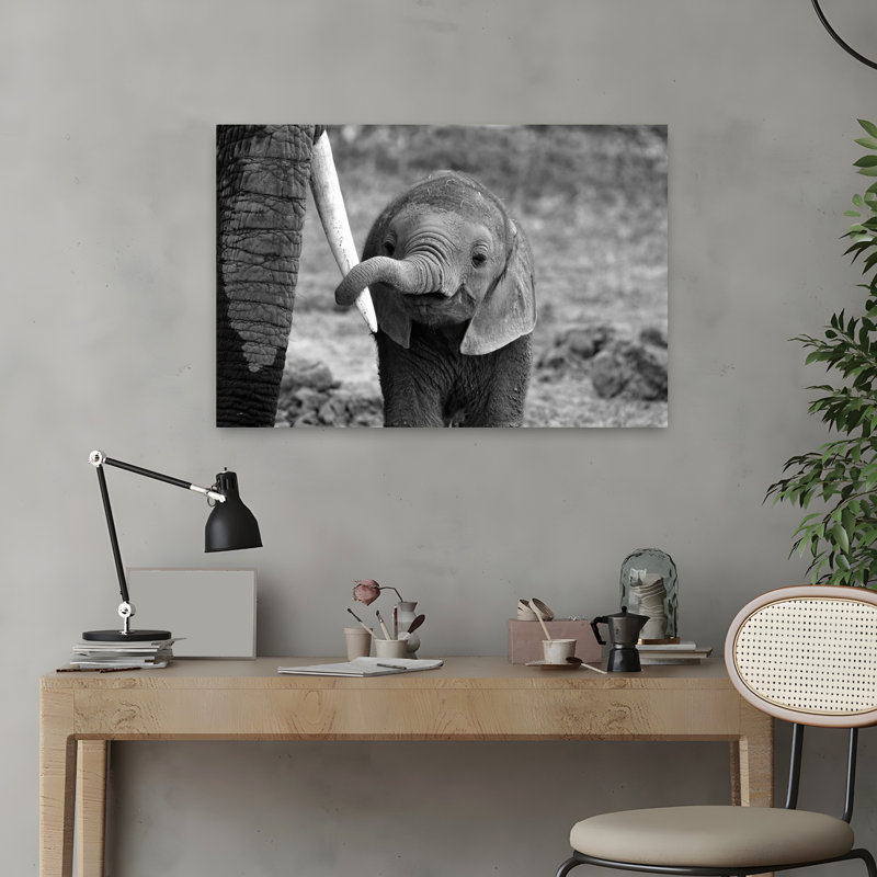 Art contemporain, éléphant, art contemporain, H 16 po x l 24 po