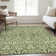 Premium Machine Washable Prisco Olive Rug