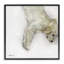 «Sweet Cream Sleeping Puppy», estampe numérique, conception de Mary Sparrow-1230226613-1230226610