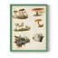 Reproduction encadrée «Mushroom Species X» - bois massif-1955880305-1955880307